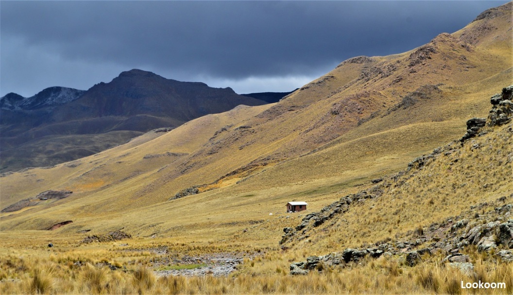 Altiplano, Pérou