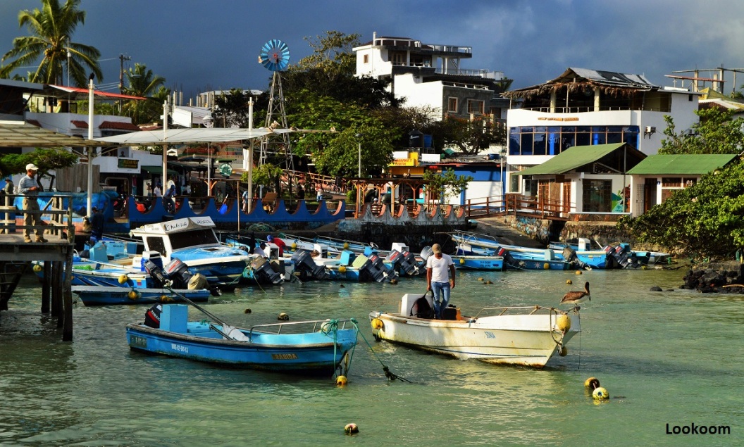 Pelican Bay, Puerto Ayora, Galápagos, Equateur