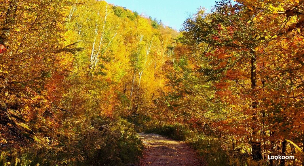 L'automne au Québec, Canada