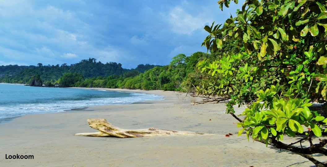 Playa Espedilla Sur, parc national Manuel Antonio, Costa Rica