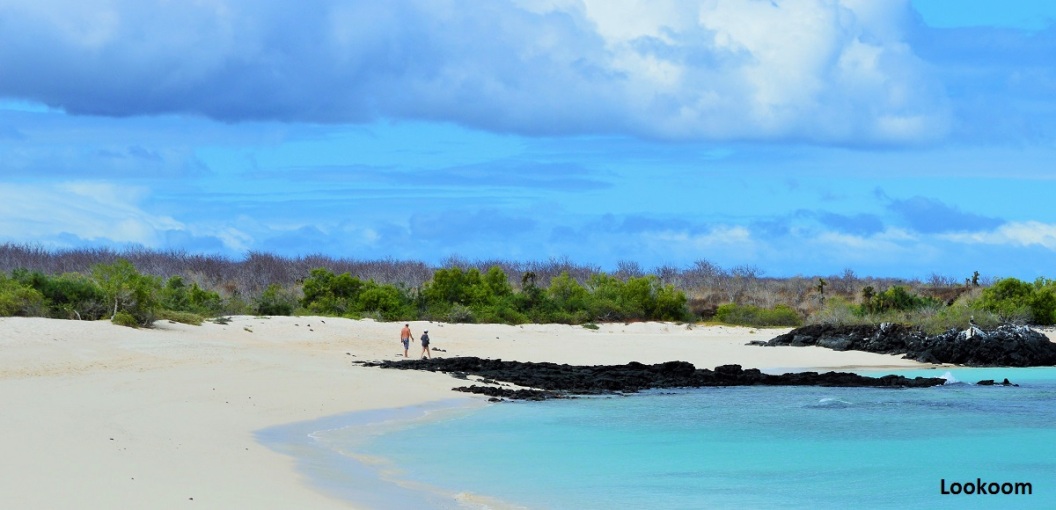 Playa Las Bachas, Ile Santa Cruz, Galápagos, Equateur
